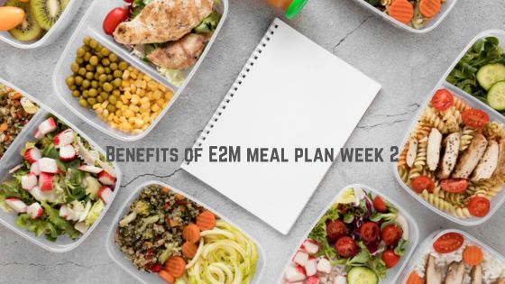 E2M meal plan week 2