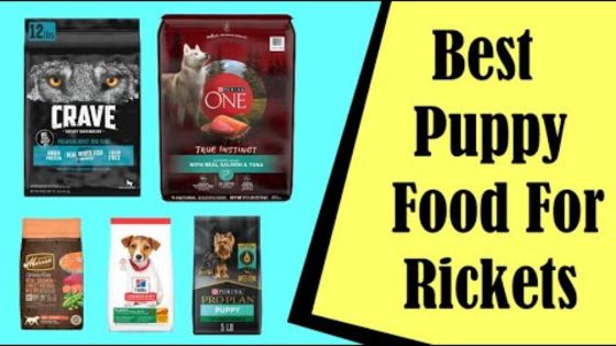 best food for puppy with rickets